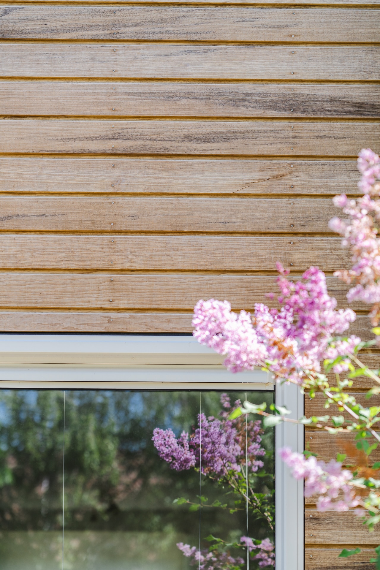 Detailansicht der horizontalen Thermo-Fraké Channelsiding-Verkleidung mit Fensterrahmen und blühendem Flieder