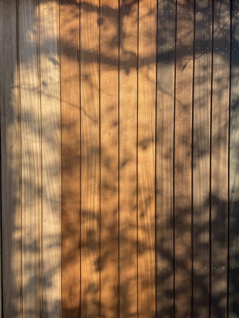 Thermo Ayous Channelsiding Fassade in Goldbraun mit Baumschatten — vertikale Holzverkleidung Außenbereich